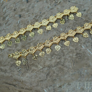 Manmeet Payal